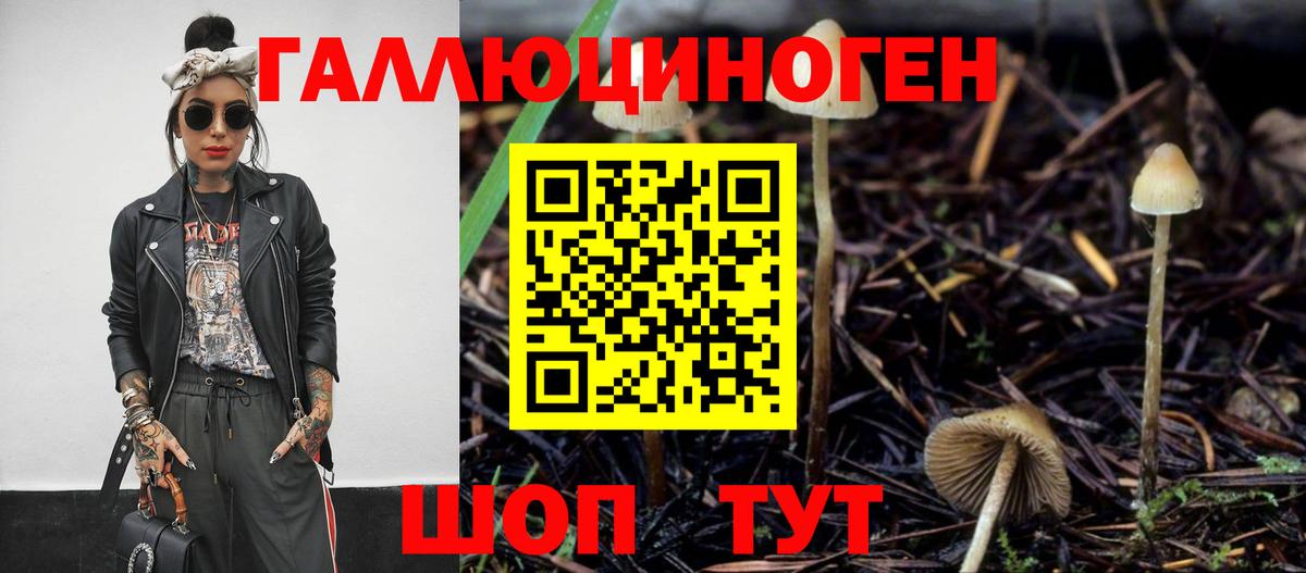 Бор  Галлюциногенные грибы Psilocybine cubensis  Псилоцибиновые грибы GOLDEN TEACHER  Вход с VPN 